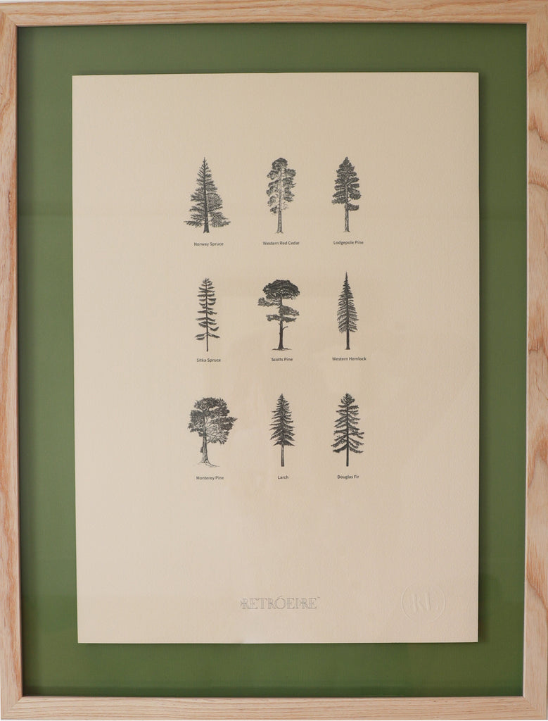 Irish Forest Print - Pre Order
