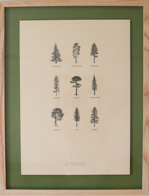 Irish Forest Print - Pre Order